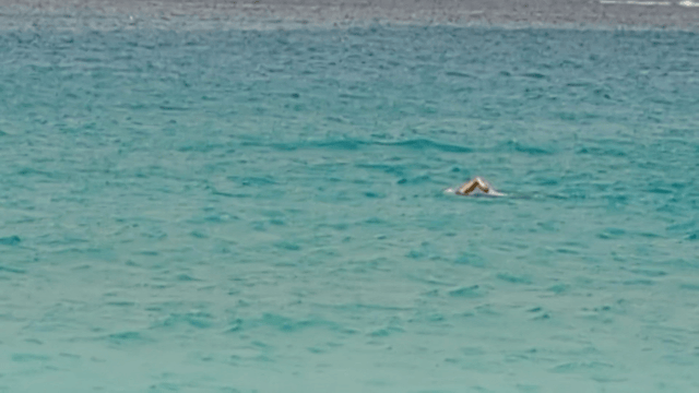 me swimmming